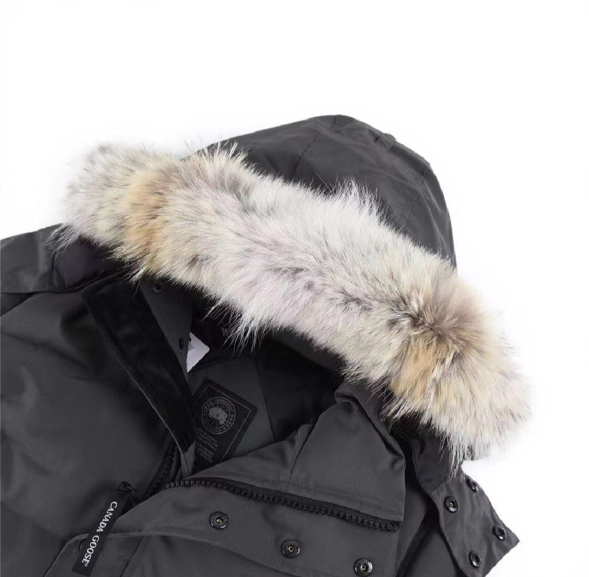 CG Wyndham Parka Grey(Black Badge)